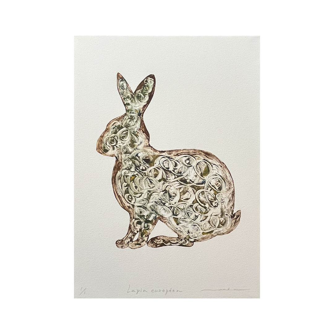 Lapin européen(穴うさぎ)